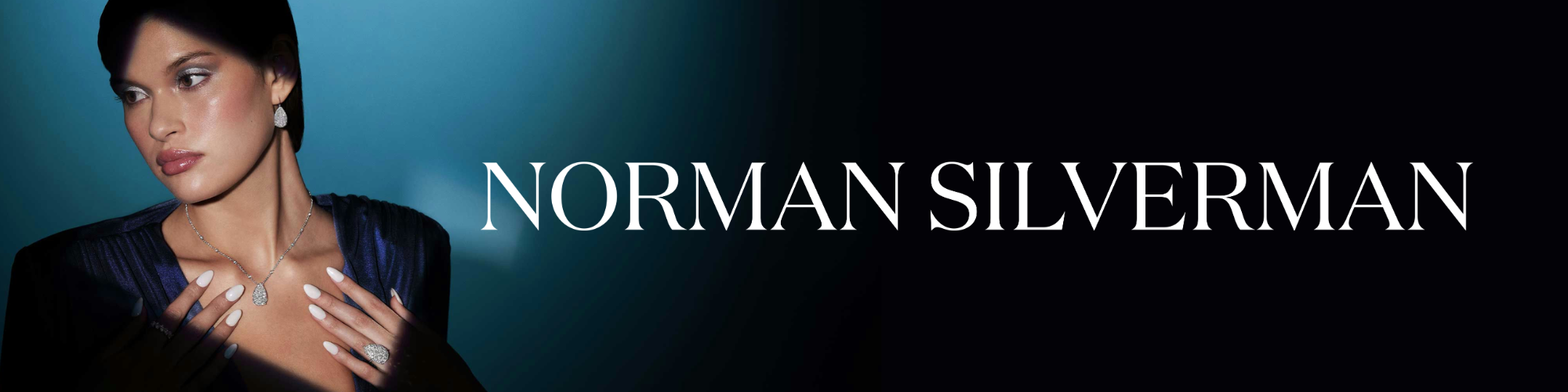 Norman Silverman Top Banner Image