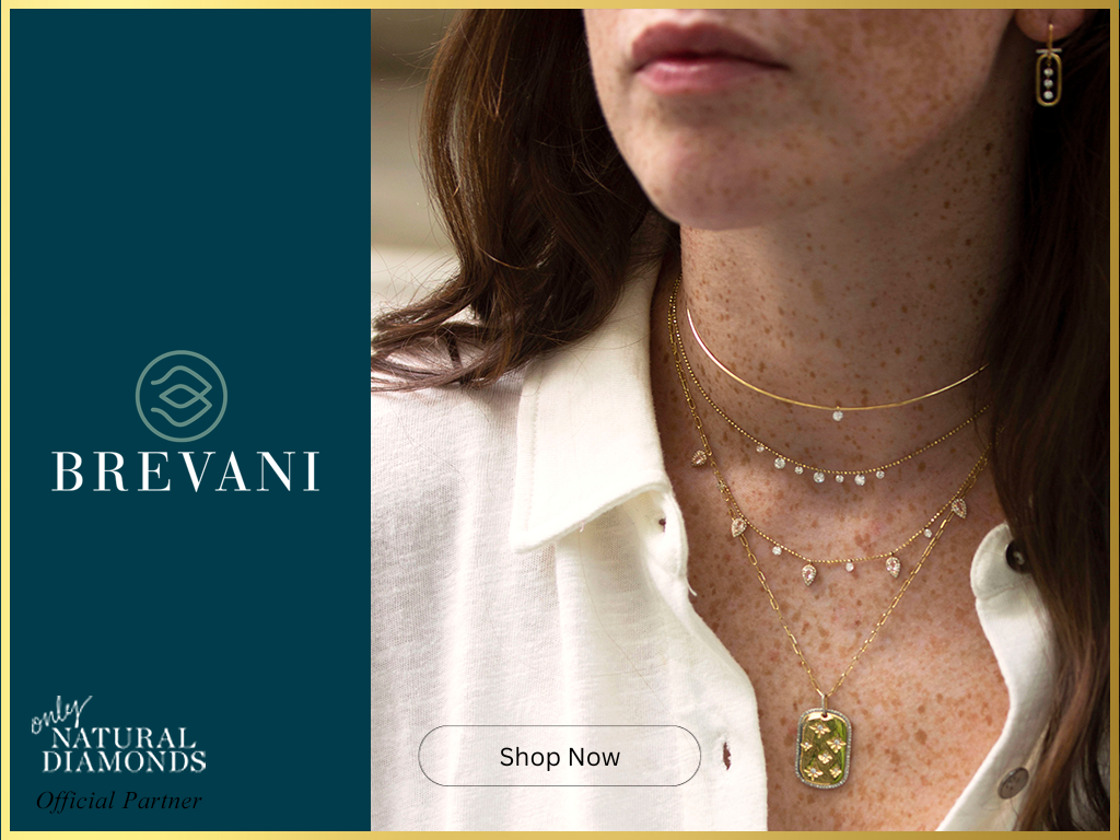 Brevani Main Banner Shop Now Button Attached